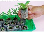 Минитеплички