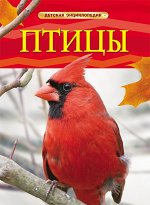 Птицы. Детская энциклопедия