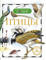 Птицы (ДЭР)