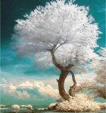 Картина арт.11117.786
