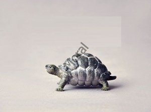 Черепаха 6*2,5см