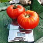 Помидоры — Giant Delicious — Делишес Гигант