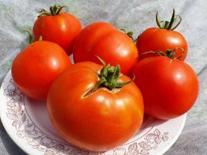 Помидоры Bonny Best — Бонни Бест