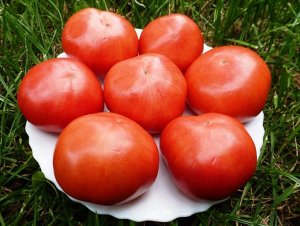 Помидоры Раменские Местные