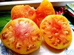 Двухцветная Комната