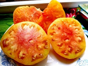 Помидоры Pineapple Вi-color — Двухцветный Ананас