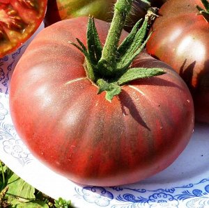 Помидоры – Фермерский Чёрный
