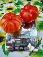 Экзотическая Комната