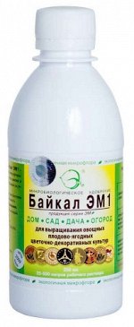Биоактиваторы