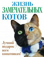 New books