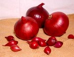 Лук Севок Ред Кармен раннеспелый, округлый, красный, Голландия