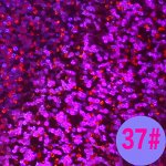 35,01 фольга цветная