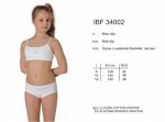 IBF34002 Acacia