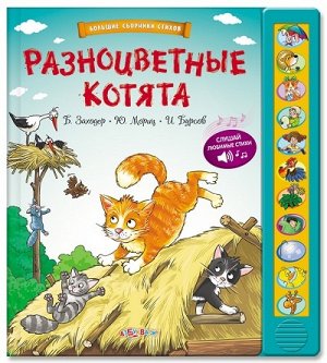 Азбукварик Большие сборники стихов Разноцветные котята