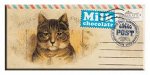 Шоколад&quot;Cacao Post&quot;молочный(конверт) 100г 1/20 (127\2)