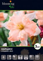 Narcis Walz