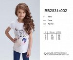 IBB2831c002 Basic fashion