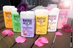 Маленький марселец - скидка до 50%