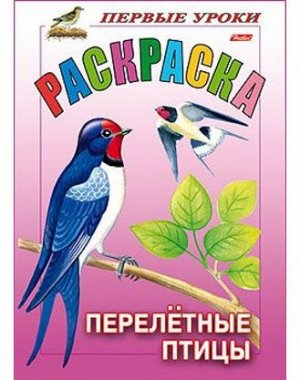 Раскраска Первые уроки ПЕРЕЛЕТНЫЕ ПТИЦЫ