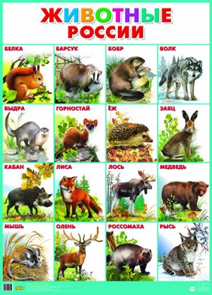 Плакат. Животные России