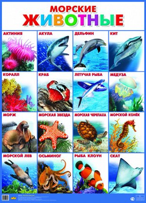 Плакат. Морские животные