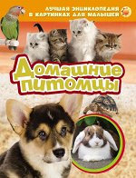 Домашние питомцы (ЛЭК)