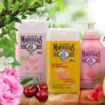 Маленький марселец