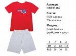 IMI435167 Hockey star