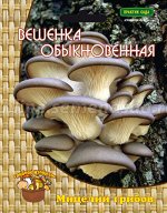Вешенка обыкновенная (12шт.)