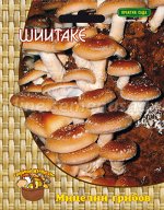 Шиитаке (12 шт.)