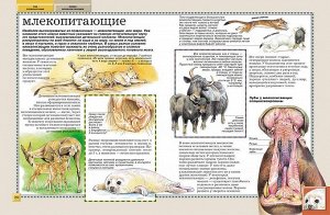 Животные. Полная энциклопедия.