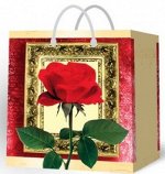сумка из мягкого пластика &quot;S&quot; 26*23+10 BAS (Корея) в ассортименте