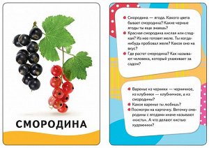 Росмэн Овощи, фрукты, ягоды (Разв. карточки 0+)