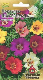 Портулак Шахерезада*, смесь 0,1 г Уд. с. DH