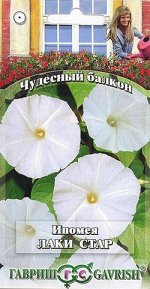 Ипомея Лаки Стар 3 шт. серия Чудесный балкон DH