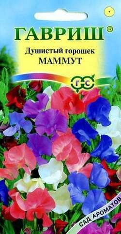 Семена Гавриш Чина душистый горошек Маммут, смесь 0,5 г серия Сад ароматов