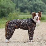 Комбинезон для собак утепленный OSSO Fashion  р.50 сука