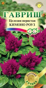 Целозия Кимоно Роуз перистая 10 шт.* Саката серия Розовые сны