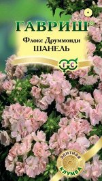 Флокс Шaнель друммонда* 8 шт. сер. Элитная клумба