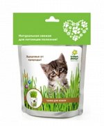 Happy Plant Трава для кошек