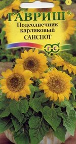 Подсолнечник декоративный Санспот (карликовый) 0,5 г DH