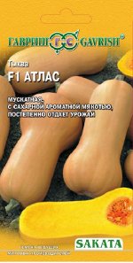 Тыква Атлас F1, мускатная 5 шт.(Саката)