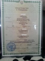 Карман жесткий
