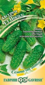 Огурец Посол F1 10 шт. Лучший в засол! автор.