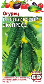 Огурец Сибирский экспресс F1 10 шт. автор. Н16
