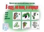 «В саду, на поле, в огороде»