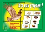 «Кто как устроен»