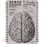 БЛОКНОТ &quot;МОЗГИ&quot;