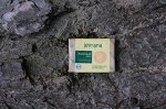 Мыло ручной работы «Хвойный лес» антисептическое, антибактериальное