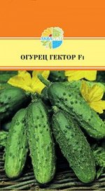 овощи